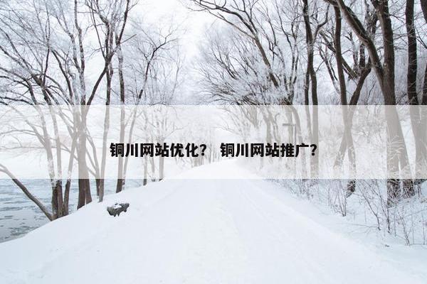 铜川网站优化？ 铜川网站推广？