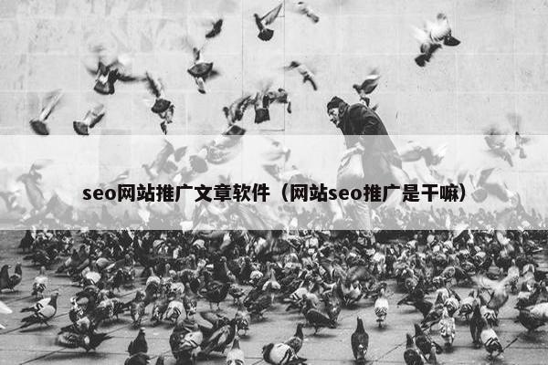 seo网站推广文章软件（网站seo推广是干嘛）