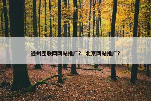 通州互联网网站推广？ 北京网站推广？