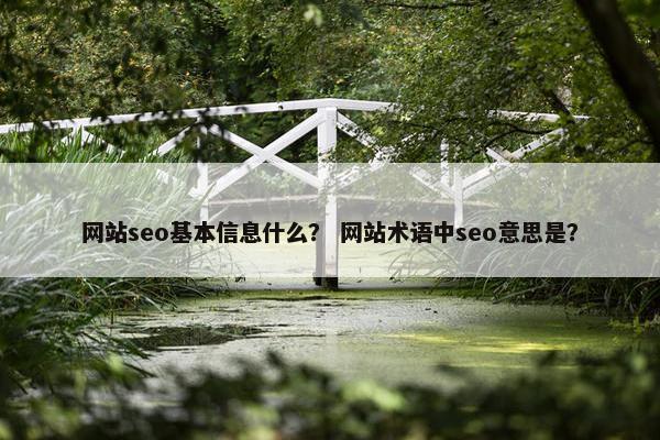 网站seo基本信息什么？ 网站术语中seo意思是？