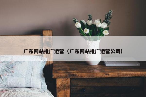 广东网站推广运营（广东网站推广运营公司）