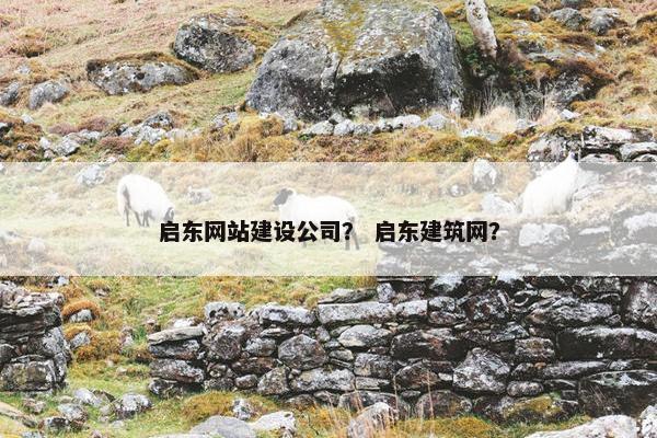启东网站建设公司？ 启东建筑网？