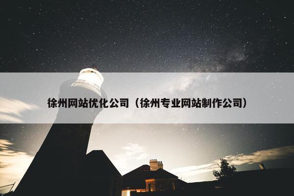 徐州网站优化公司（徐州专业网站制作公司）