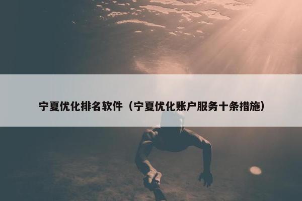 宁夏优化排名软件（宁夏优化账户服务十条措施）