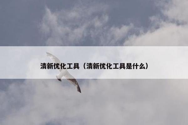 清新优化工具（清新优化工具是什么）