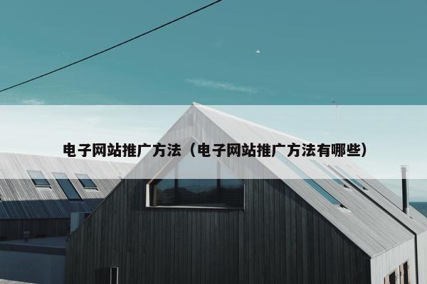 电子网站推广方法（电子网站推广方法有哪些）