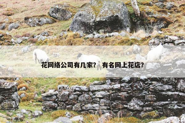 花网络公司有几家？ 有名网上花店？