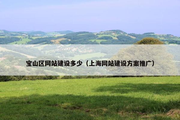 宝山区网站建设多少（上海网站建设方案推广）
