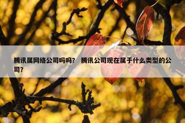 腾讯属网络公司吗吗？ 腾讯公司现在属于什么类型的公司？