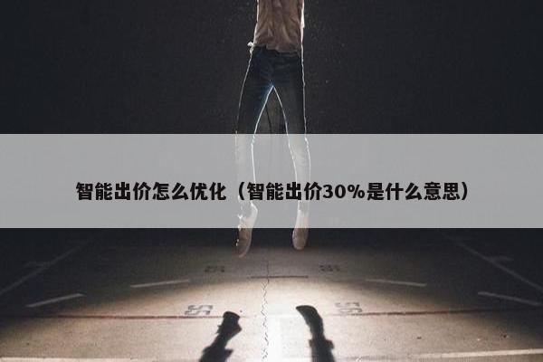 智能出价怎么优化（智能出价30%是什么意思）