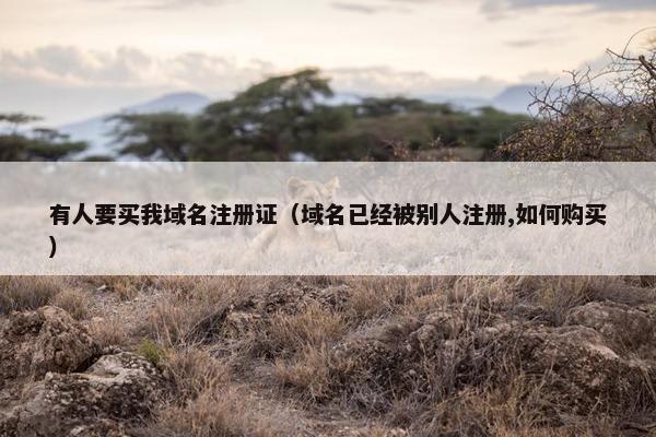 有人要买我域名注册证（域名已经被别人注册,如何购买）