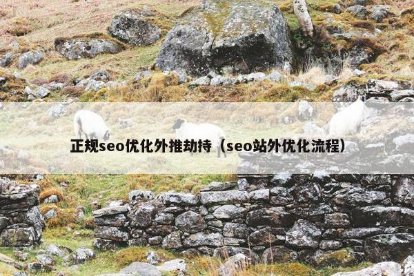 正规seo优化外推劫持（seo站外优化流程）