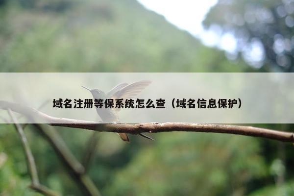 域名注册等保系统怎么查（域名信息保护）