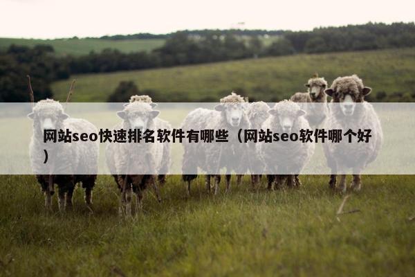 网站seo快速排名软件有哪些（网站seo软件哪个好）