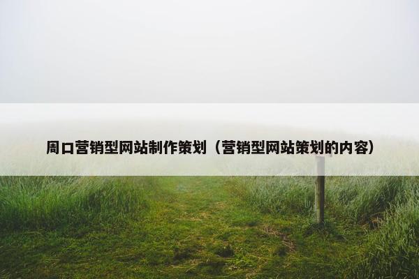 周口营销型网站制作策划（营销型网站策划的内容）