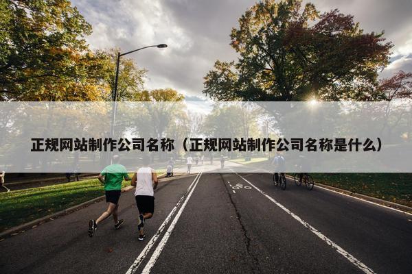 正规网站制作公司名称（正规网站制作公司名称是什么）