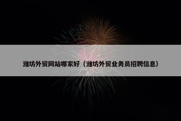潍坊外贸网站哪家好（潍坊外贸业务员招聘信息）