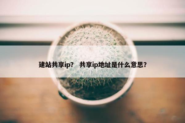 建站共享ip？ 共享ip地址是什么意思？