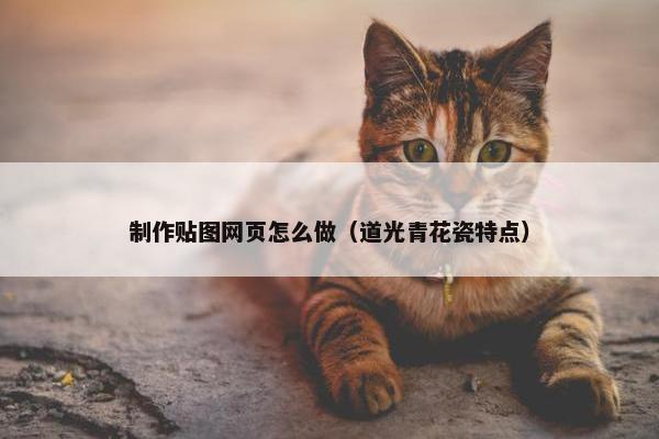 制作贴图网页怎么做（道光青花瓷特点）