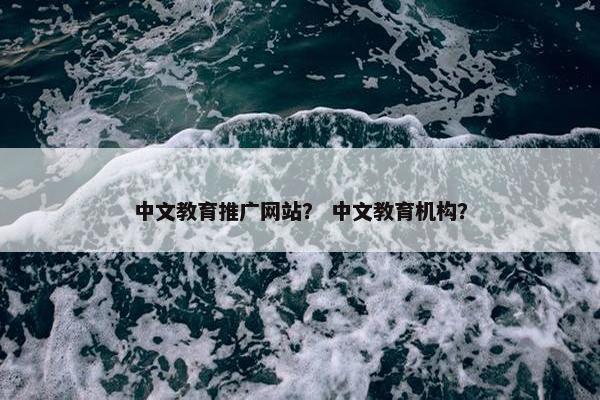 中文教育推广网站？ 中文教育机构？