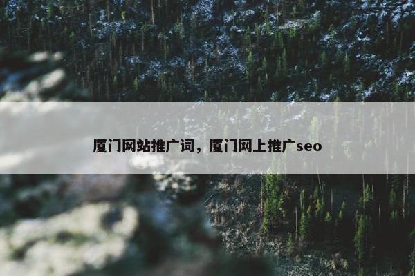 厦门网站推广词，厦门网上推广seo