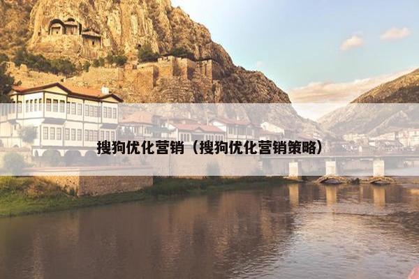 搜狗优化营销（搜狗优化营销策略）