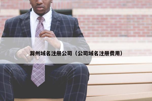 滁州域名注册公司（公司域名注册费用）