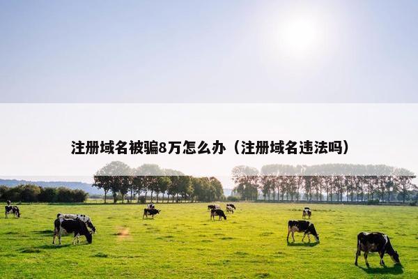 注册域名被骗8万怎么办（注册域名违法吗）