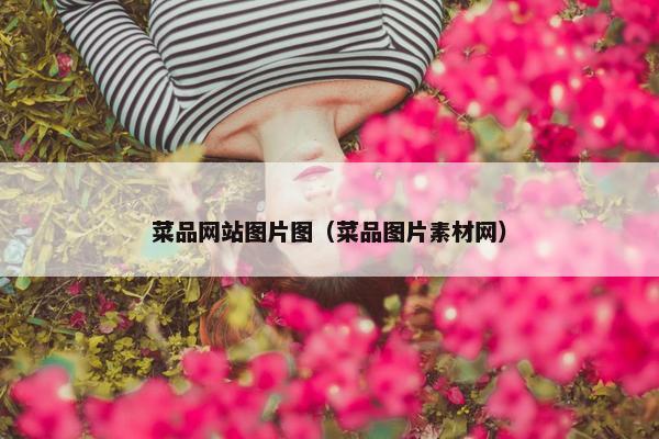 菜品网站图片图（菜品图片素材网）