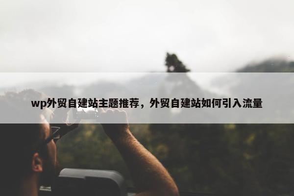 wp外贸自建站主题推荐，外贸自建站如何引入流量