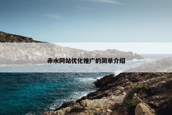 赤水网站优化推广的简单介绍