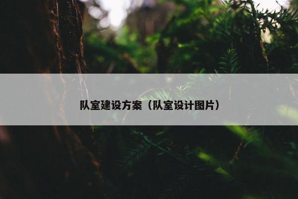 队室建设方案（队室设计图片）