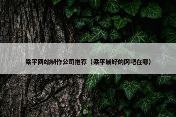梁平网站制作公司推荐（梁平最好的网吧在哪）