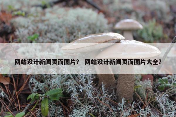 网站设计新闻页面图片？ 网站设计新闻页面图片大全？