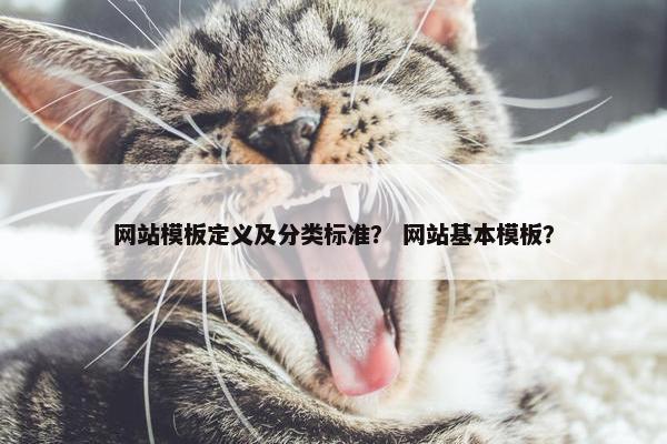 网站模板定义及分类标准？ 网站基本模板？