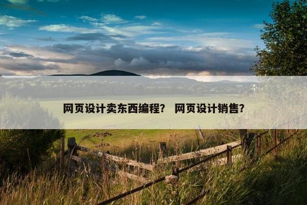 网页设计卖东西编程？ 网页设计销售？