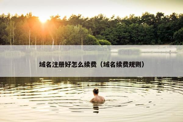 域名注册好怎么续费（域名续费规则）