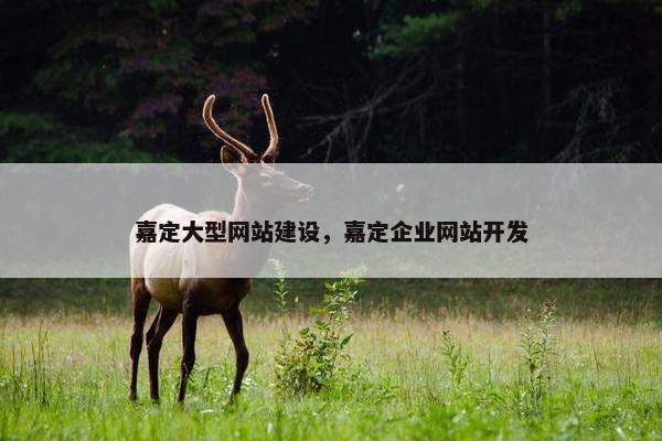 嘉定大型网站建设，嘉定企业网站开发