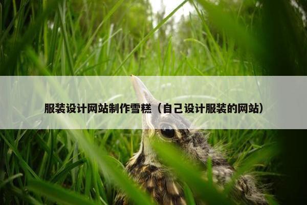 服装设计网站制作雪糕（自己设计服装的网站）