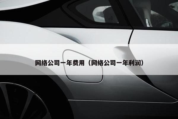 网络公司一年费用（网络公司一年利润）