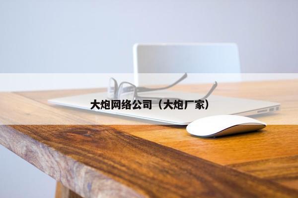 大炮网络公司（大炮厂家）