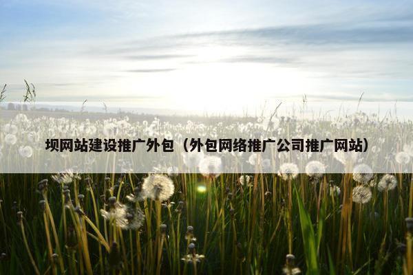 坝网站建设推广外包（外包网络推广公司推广网站）