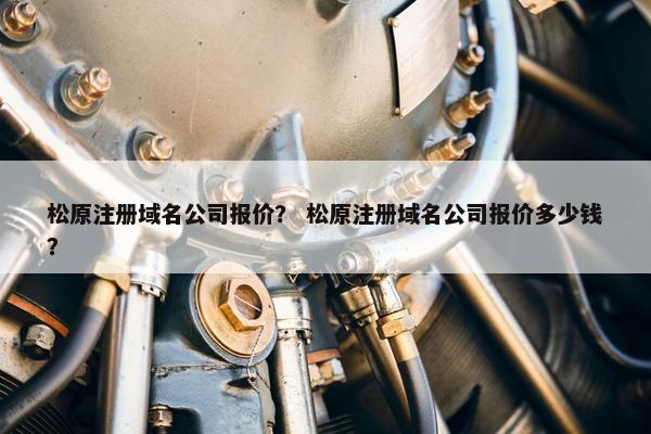 松原注册域名公司报价？ 松原注册域名公司报价多少钱？