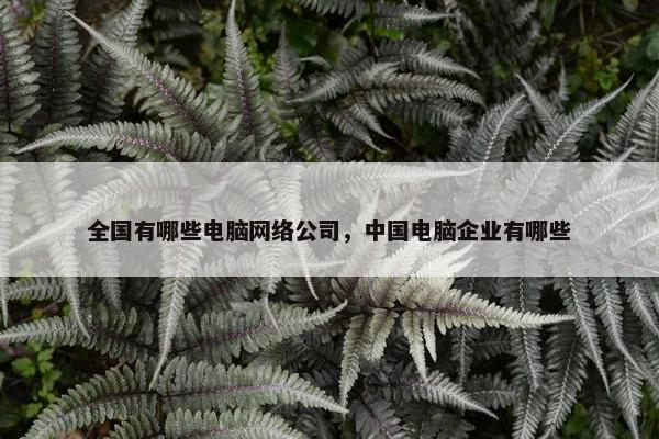 全国有哪些电脑网络公司，中国电脑企业有哪些