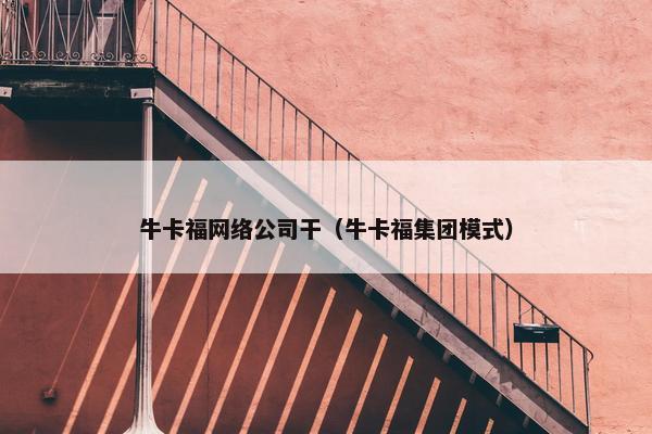 牛卡福网络公司干（牛卡福集团模式）