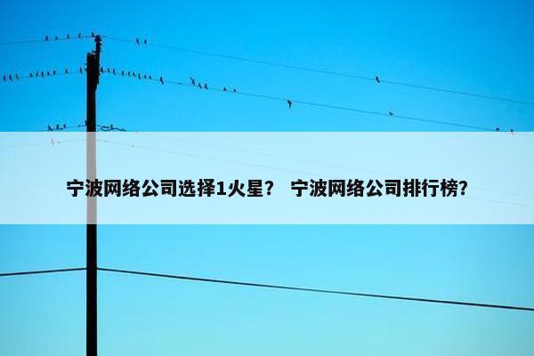 宁波网络公司选择1火星？ 宁波网络公司排行榜？