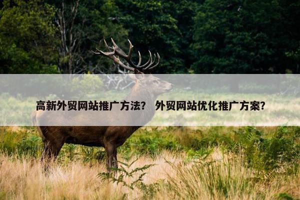 高新外贸网站推广方法？ 外贸网站优化推广方案？