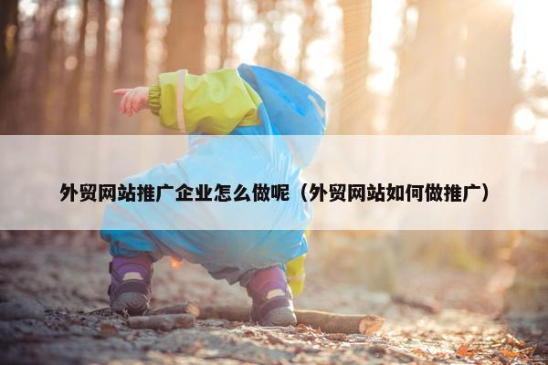 外贸网站推广企业怎么做呢（外贸网站如何做推广）