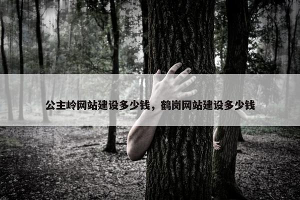 公主岭网站建设多少钱，鹤岗网站建设多少钱