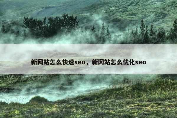 新网站怎么快速seo，新网站怎么优化seo